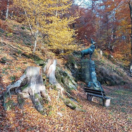 Haus Anastasia Leilighet Stolberg i. Harz Eksteriør bilde