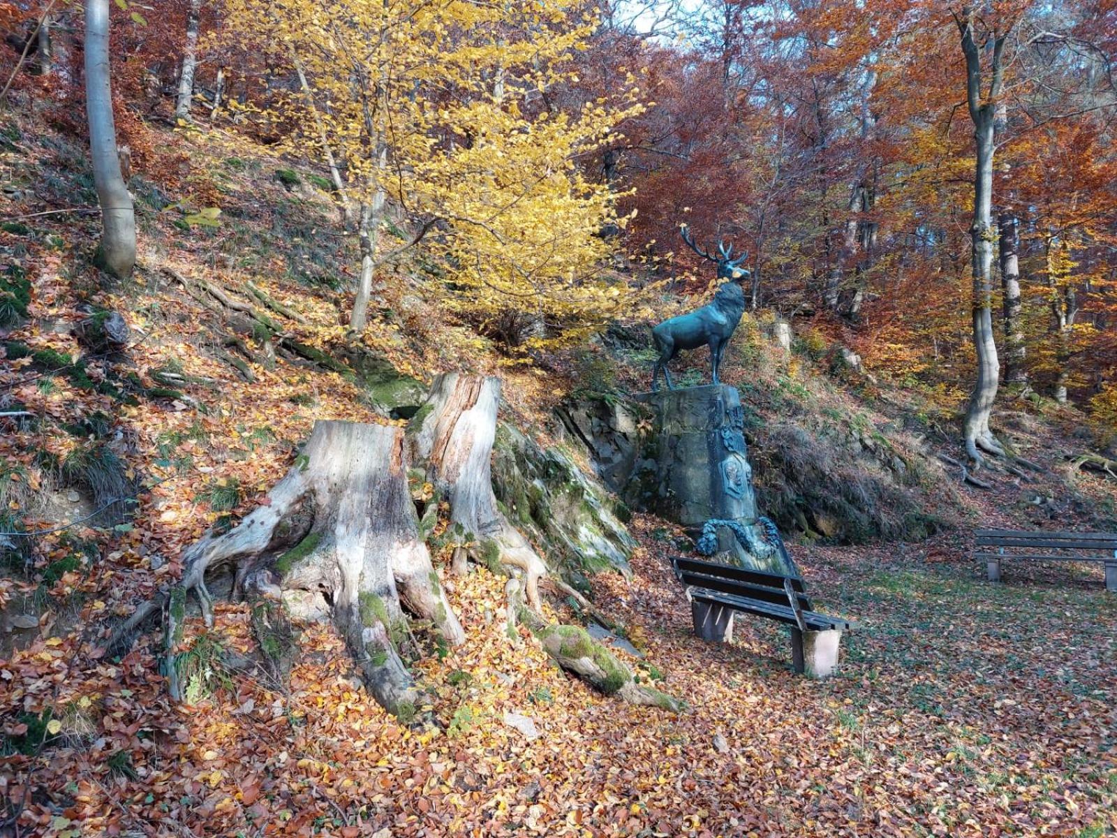 Haus Anastasia Leilighet Stolberg i. Harz Eksteriør bilde